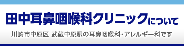 田中耳鼻咽喉科クリニックについて